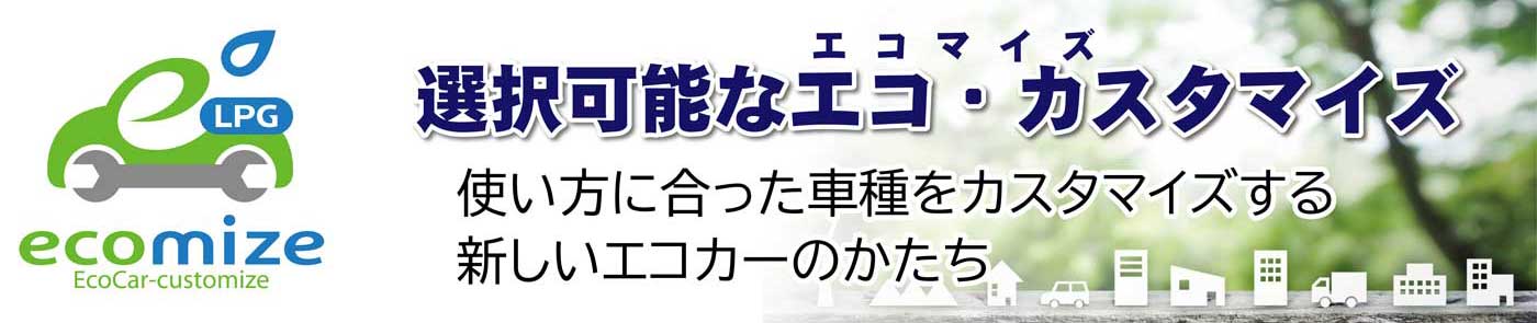 選択可能なエコ・カスタマイズ